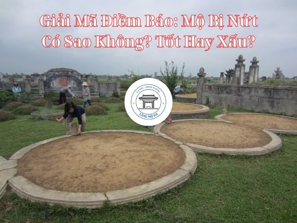 Giải Mã Điềm Báo: Mộ Bị Nứt Có Sao Không? Tốt Hay Xấu?