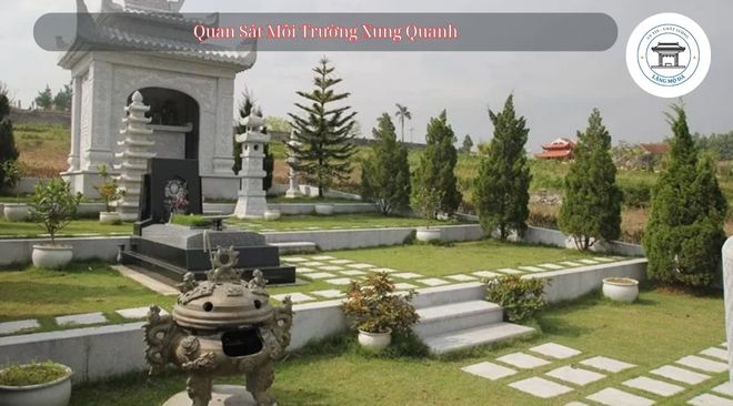 Quan Sát Môi Trường Xung Quanh
